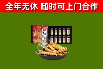连城回收冬虫夏草价格