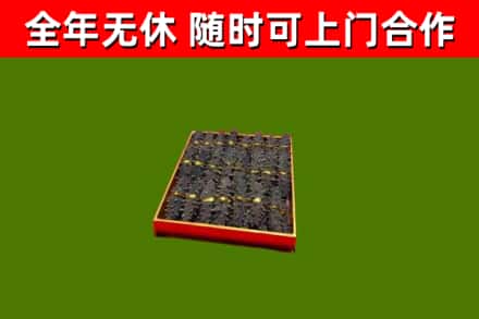 连城回收海参